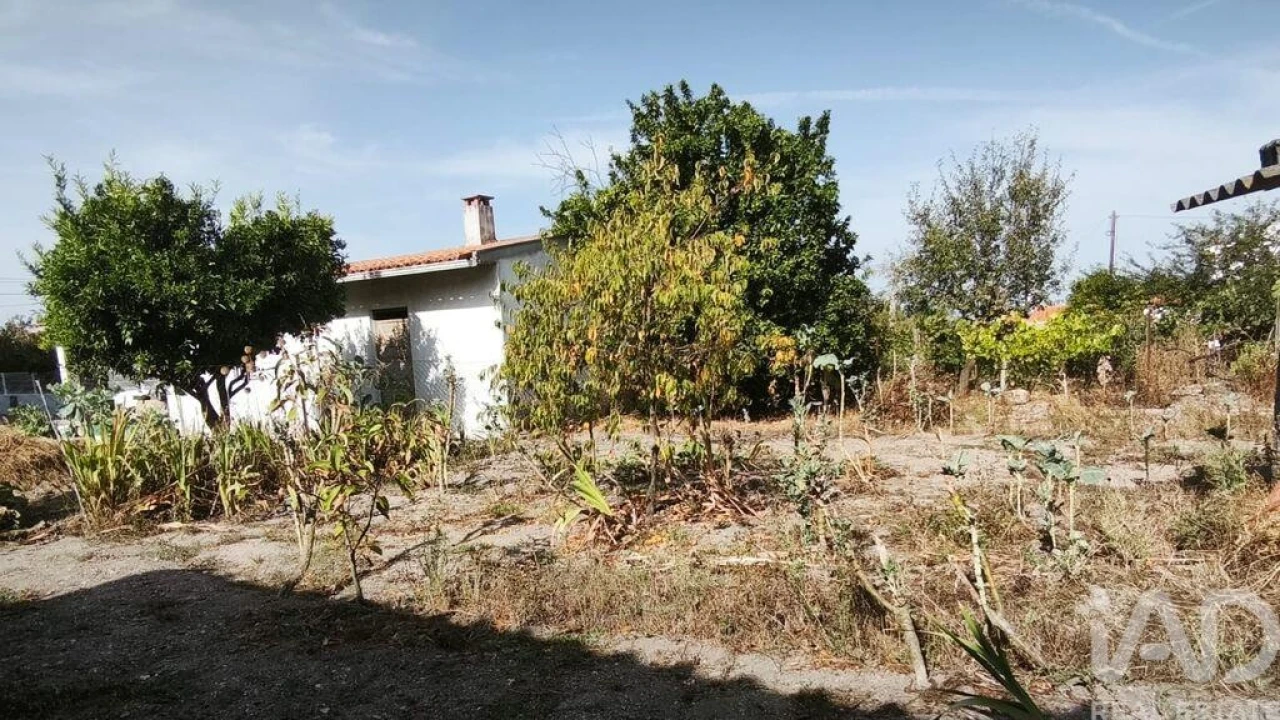 Moradia T3 para Venda em Seixo da Beira Foto 25