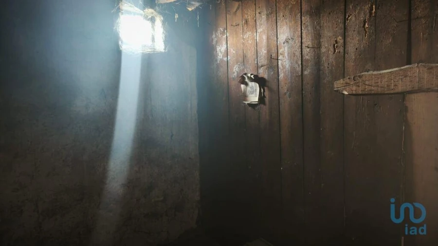 Moradia T3 para Venda em Seixo da Beira Foto 13