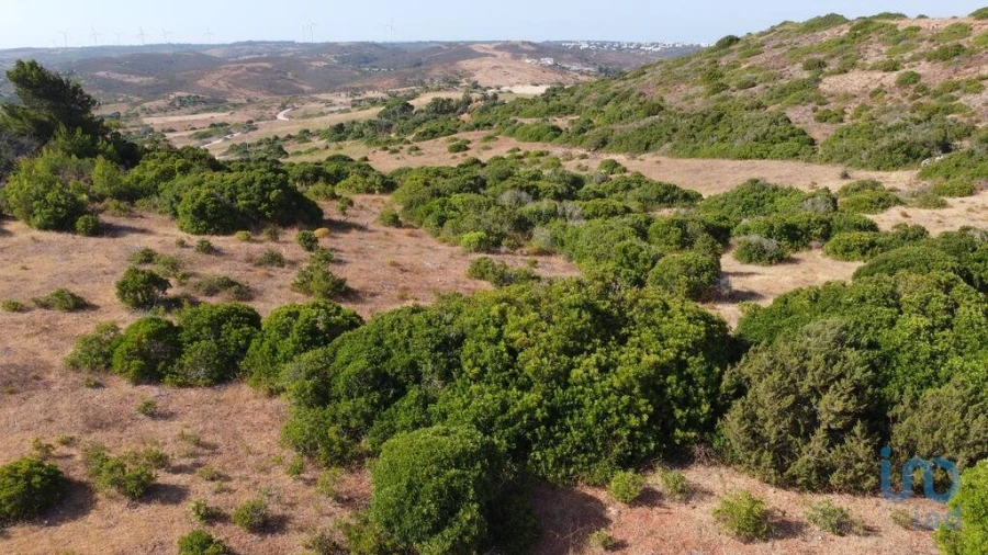 Terreno para Venda em Budens Foto 5