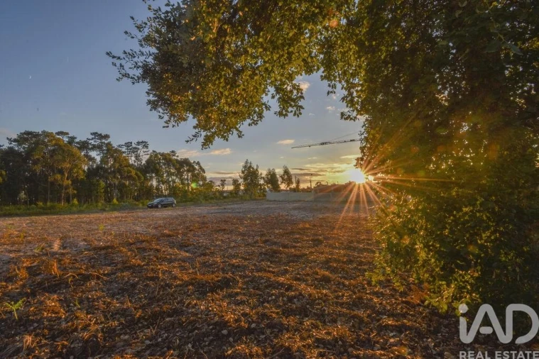 Terreno para Venda em Marinha Grande