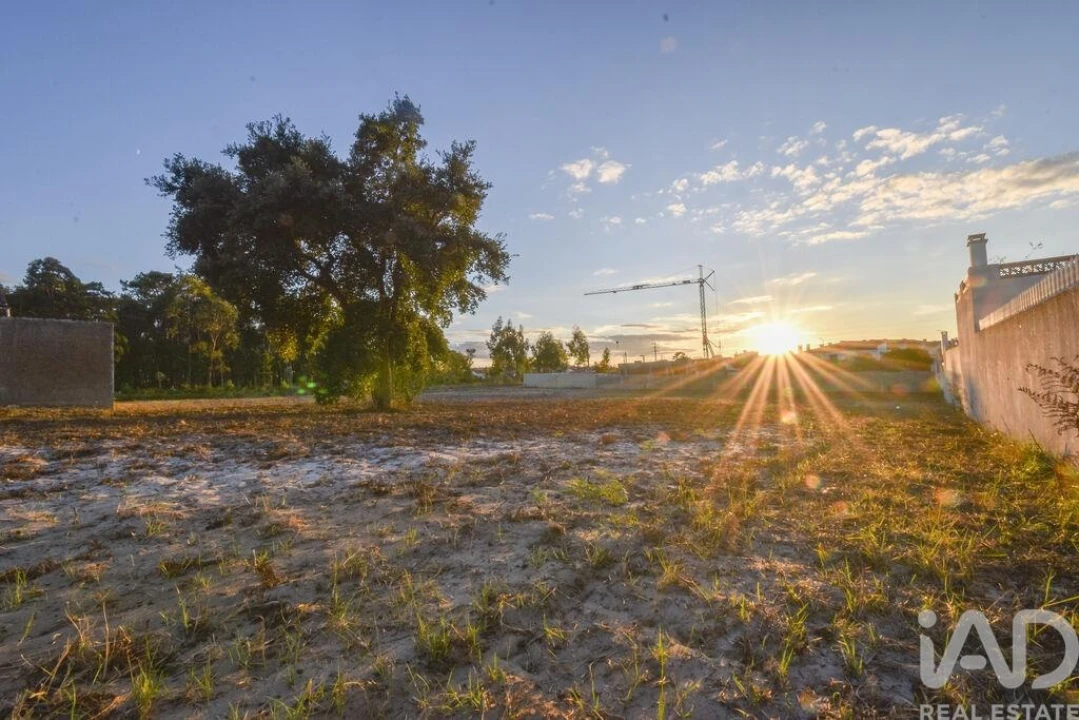 Terreno para Venda em Marinha Grande Foto 1