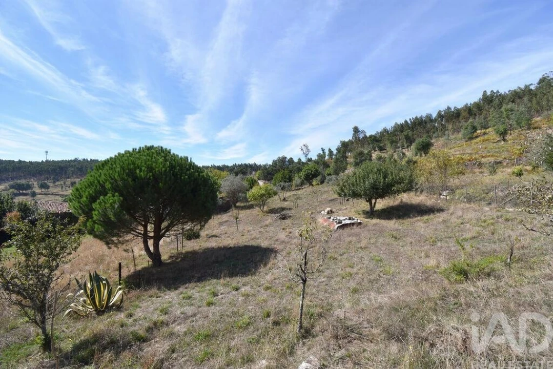 Moradia T2 para Venda em Cumeeira Foto 24