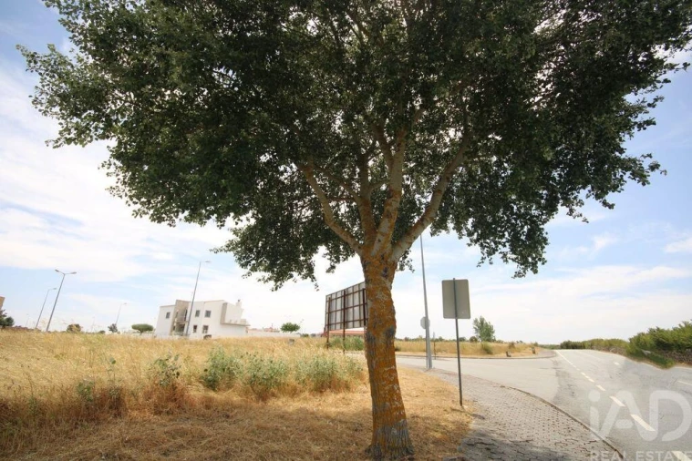Terreno para Venda em Almeida Foto 25