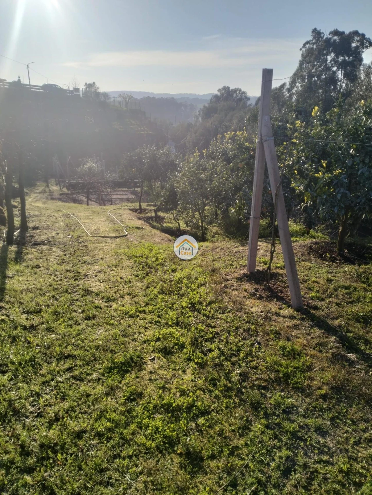 Terreno para Venda em Meinedo Foto 2