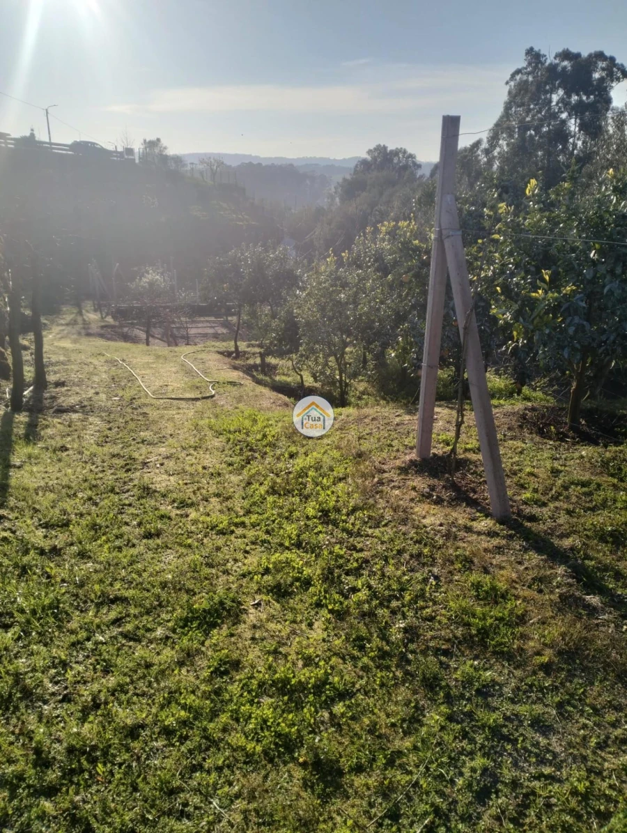 Terreno para Venda em Meinedo Foto 2
