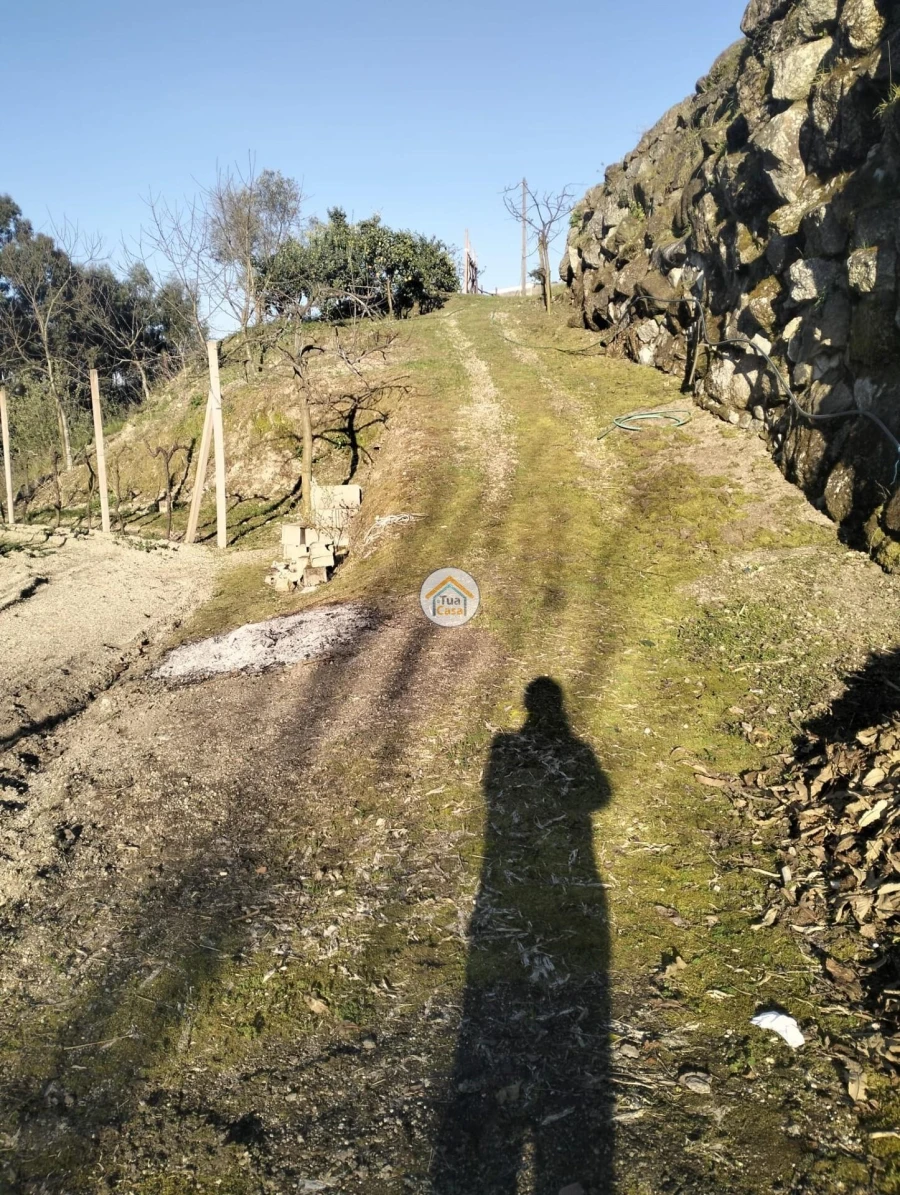 Terreno para Venda em Meinedo Foto 3