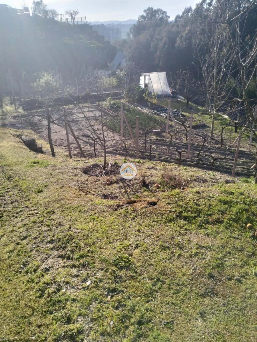 Terreno para Venda em Meinedo Foto 4