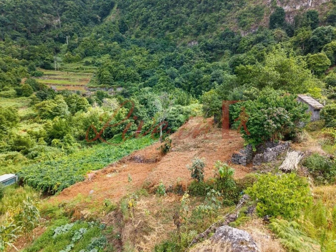 Terreno para Venda em Arco de São Jorge Foto 11
