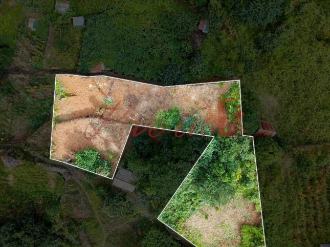 Terreno para Venda em Arco de São Jorge Foto 4