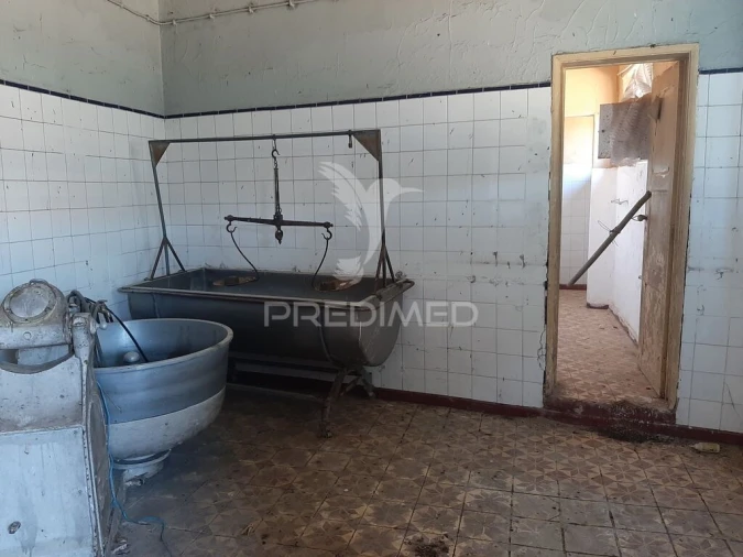 Armazém para Venda em Alfundão e Peroguarda Foto 8