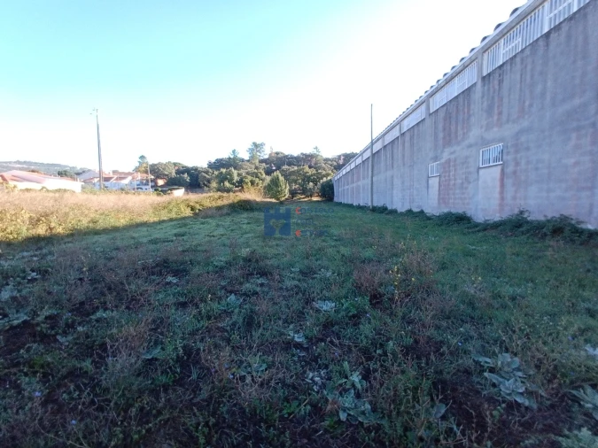 Terreno para Venda em Alcanena e Vila Moreira Foto 8