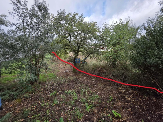 Terreno para Venda em Alcanena e Vila Moreira Foto 40