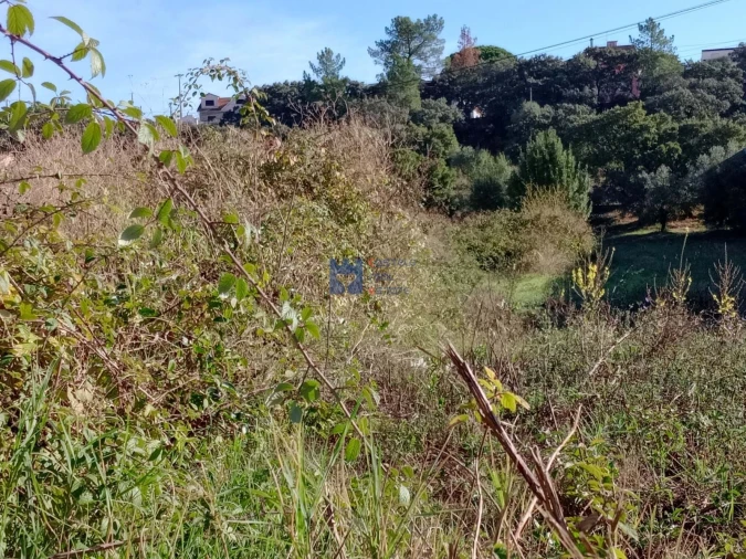 Terreno para Venda em Alcanena e Vila Moreira Foto 23