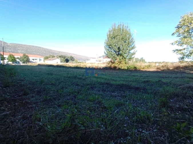 Terreno para Venda em Alcanena e Vila Moreira Foto 21