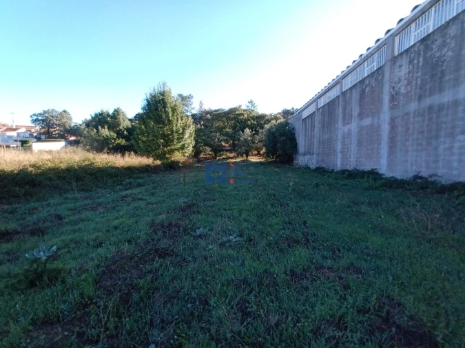 Terreno para Venda em Alcanena e Vila Moreira Foto 12