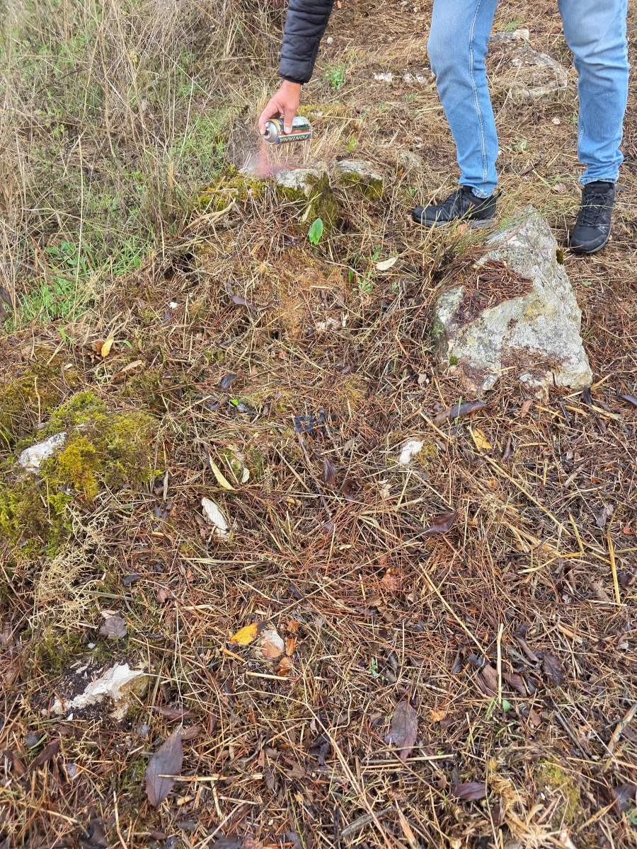 Terreno para Venda em Alcanena e Vila Moreira Foto 34