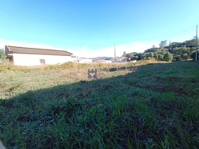 Terreno para Venda em Alcanena e Vila Moreira Foto 22