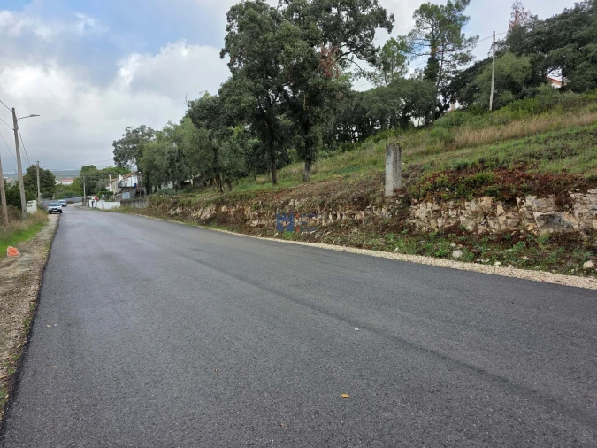 Terreno para Venda em Alcanena e Vila Moreira Foto 44