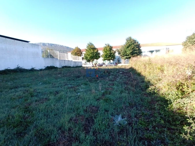 Terreno para Venda em Alcanena e Vila Moreira Foto 7