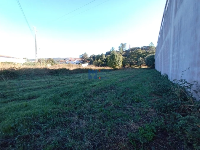 Terreno para Venda em Alcanena e Vila Moreira Foto 9