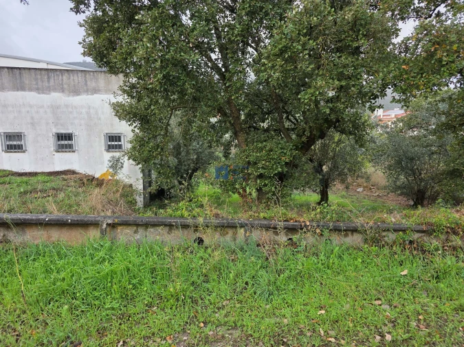 Terreno para Venda em Alcanena e Vila Moreira Foto 42
