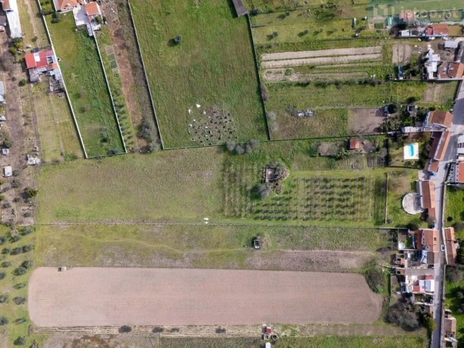 Moradia T4 para Venda em São Miguel do Rio Torto e Rossio Ao Sul do Tejo Foto 19