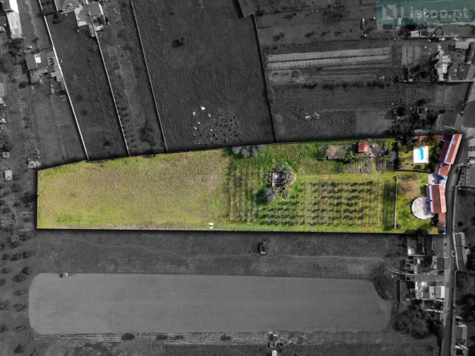 Moradia T4 para Venda em São Miguel do Rio Torto e Rossio Ao Sul do Tejo Foto 17