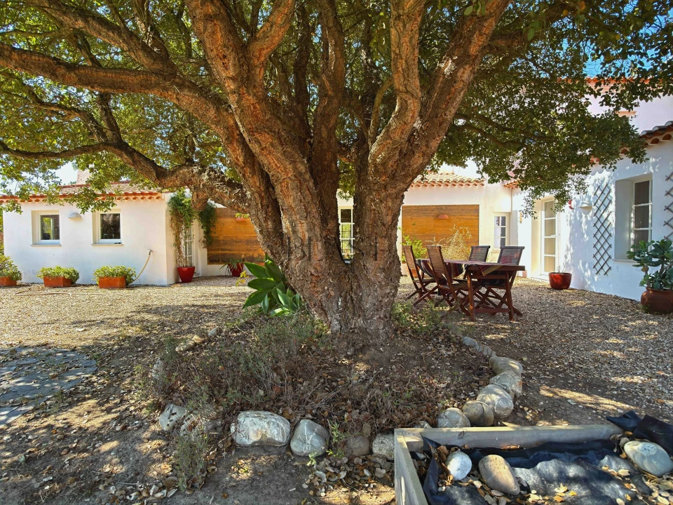 Quinta T7 para Venda em Vila Nova de Milfontes Foto 15