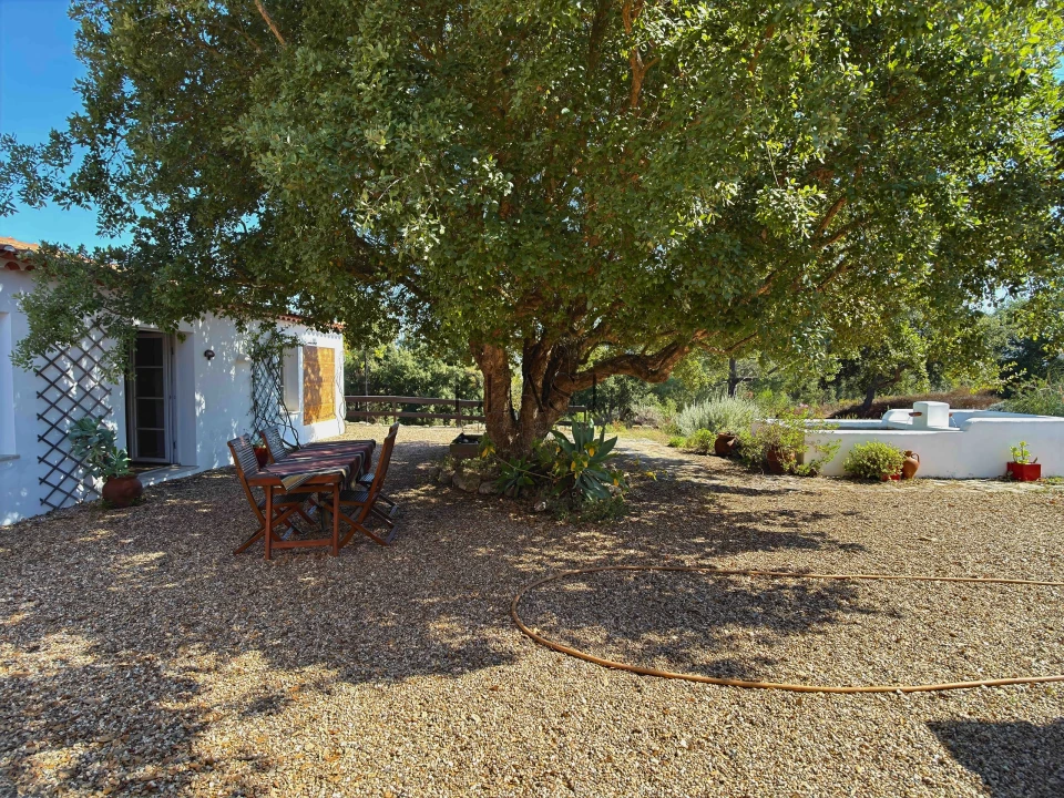 Quinta T7 para Venda em Vila Nova de Milfontes Foto 13