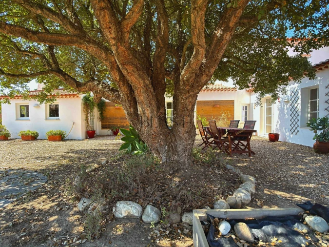 Quinta T7 para Venda em Vila Nova de Milfontes Foto 15