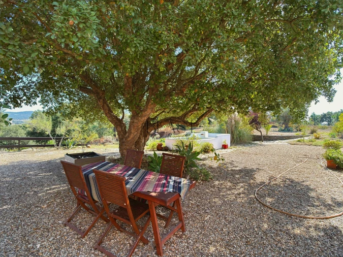 Quinta T7 para Venda em Vila Nova de Milfontes Foto 14