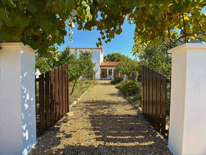 Quinta T7 para Venda em Vila Nova de Milfontes Foto 1