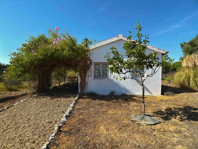 Quinta T7 para Venda em Vila Nova de Milfontes Foto 41