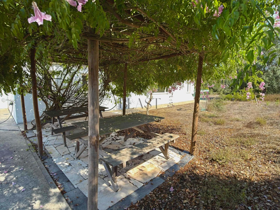 Quinta T7 para Venda em Vila Nova de Milfontes Foto 60