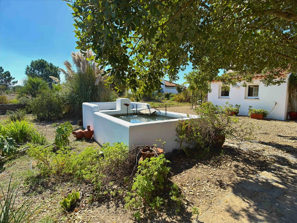 Quinta T7 para Venda em Vila Nova de Milfontes Foto 16