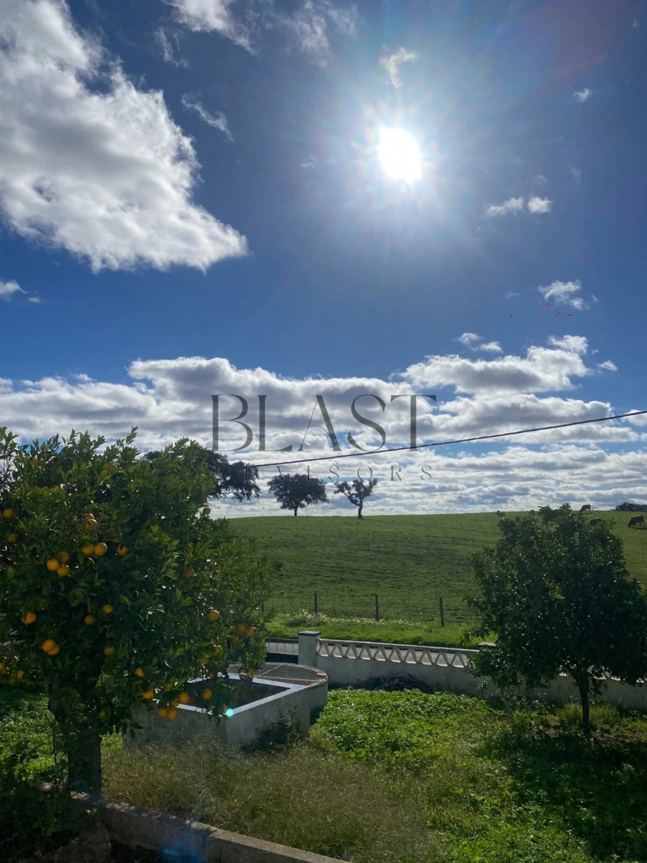 Moradia T2 para Venda em Abela Foto 14