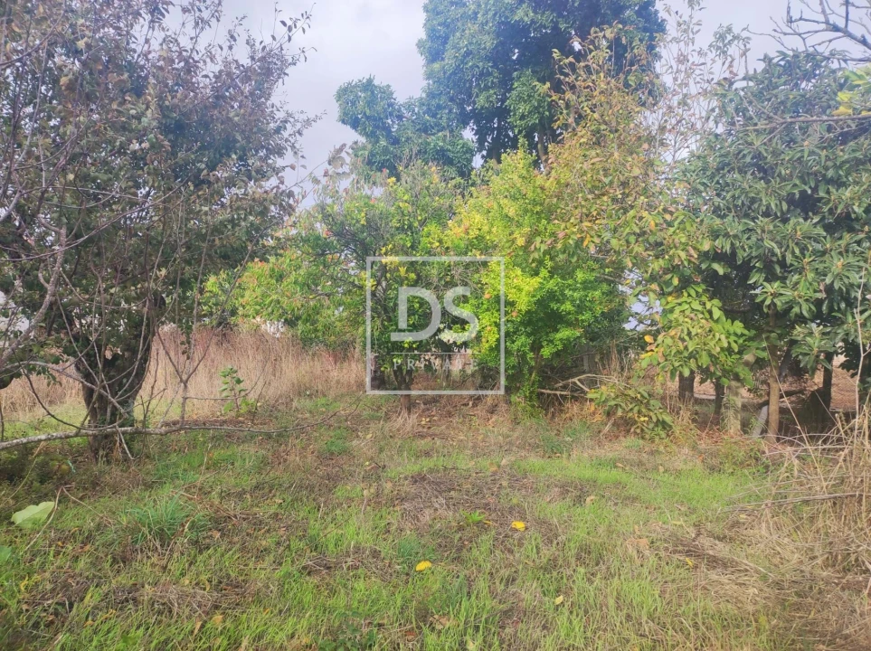 Moradia T4 para Venda em Salreu Foto 14