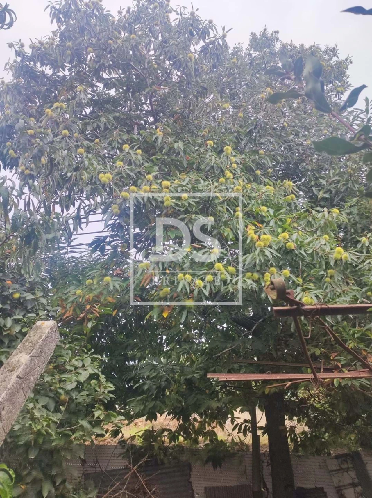 Moradia T4 para Venda em Salreu Foto 12