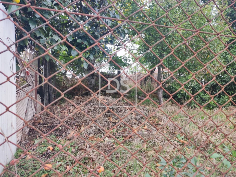 Moradia T4 para Venda em Salreu Foto 46