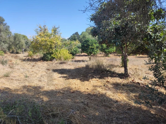 Terreno para Venda em Olhão Foto 8