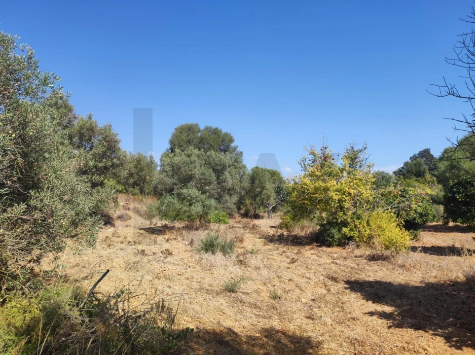 Terreno para Venda em Olhão Foto 6