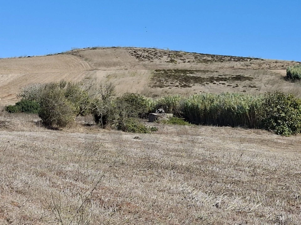 Terreno para Venda em Vila do Bispo e Raposeira Foto 28