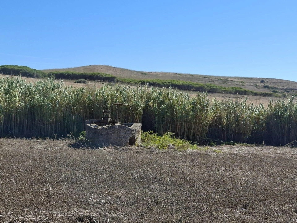 Terreno para Venda em Vila do Bispo e Raposeira Foto 12