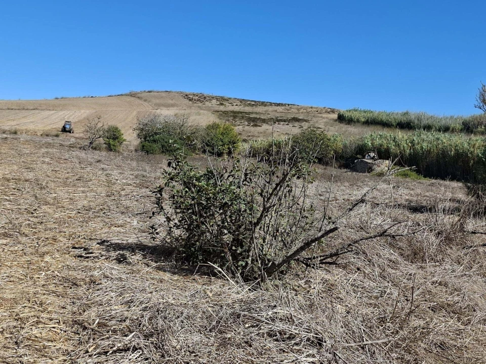 Terreno para Venda em Vila do Bispo e Raposeira Foto 3