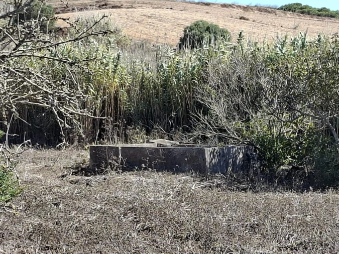 Terreno para Venda em Vila do Bispo e Raposeira Foto 13