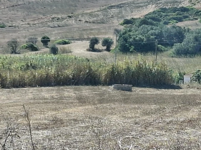 Terreno para Venda em Vila do Bispo e Raposeira Foto 5