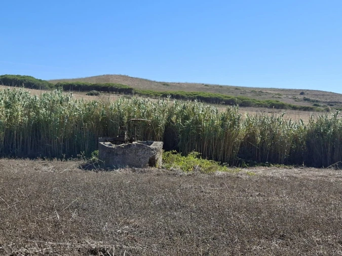 Terreno para Venda em Vila do Bispo e Raposeira Foto 12