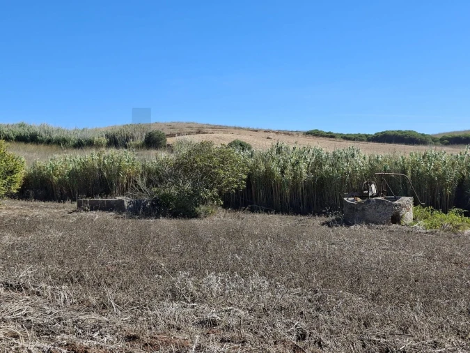 Terreno para Venda em Vila do Bispo e Raposeira Foto 15