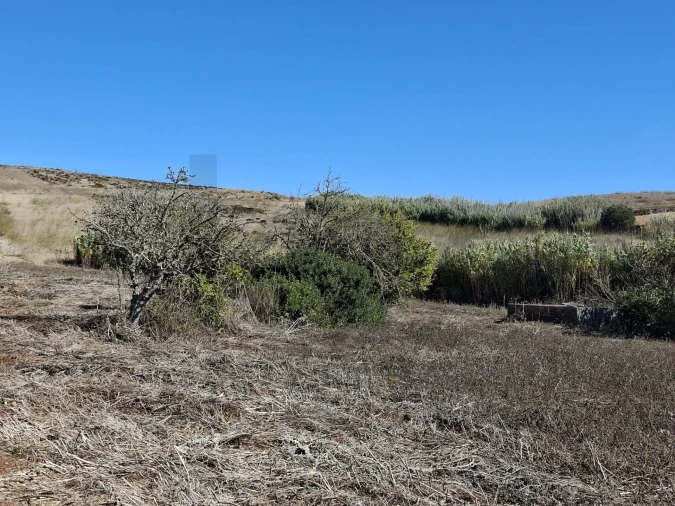 Terreno para Venda em Vila do Bispo e Raposeira Foto 18