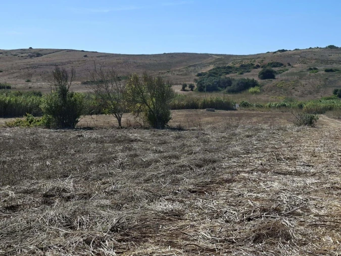 Terreno para Venda em Vila do Bispo e Raposeira Foto 9